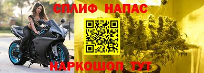 ешки Абакан