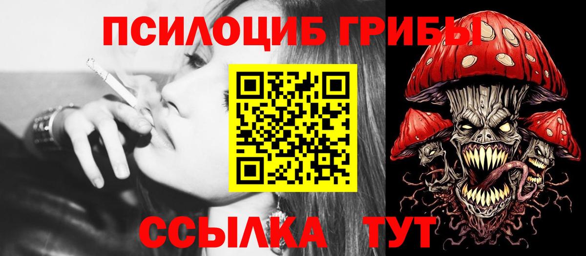 Галлюциногенные грибы Cubensis Апшеронск